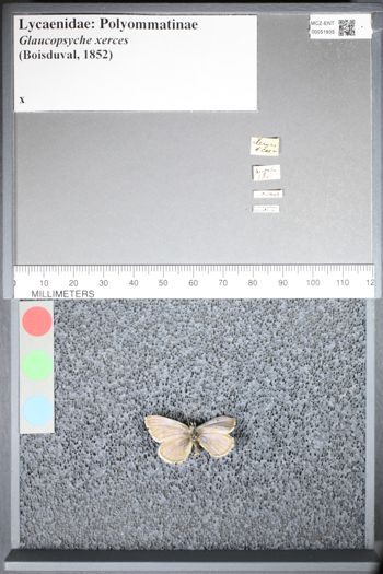 Media type: image;   Entomology 51935